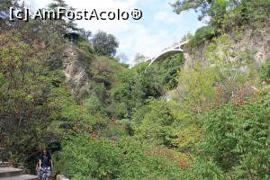 [P56] Georgia, Tbilisi, Grădina Botanică parcă-i o pădure, se vede sus frumosul chioșc dar și Podul Regina Tamar » foto by mprofeanu
 - 
<span class="allrVoted glyphicon glyphicon-heart hidden" id="av1149656"></span>
<a class="m-l-10 hidden" id="sv1149656" onclick="voting_Foto_DelVot(,1149656,24087)" role="button">șterge vot <span class="glyphicon glyphicon-remove"></span></a>
<a id="v91149656" class=" c-red"  onclick="voting_Foto_SetVot(1149656)" role="button"><span class="glyphicon glyphicon-heart-empty"></span> <b>LIKE</b> = Votează poza</a> <img class="hidden"  id="f1149656W9" src="/imagini/loader.gif" border="0" /><span class="AjErrMes hidden" id="e1149656ErM"></span>