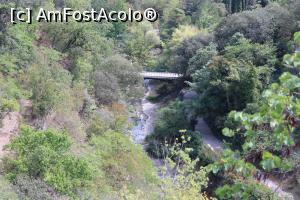 [P60] Georgia, Tbilisi, Grădina Botanică este străbătută și de un firicel de apă, poză făcută din micul pavilion, am urcat la el...  » foto by mprofeanu
 - 
<span class="allrVoted glyphicon glyphicon-heart hidden" id="av1149660"></span>
<a class="m-l-10 hidden" id="sv1149660" onclick="voting_Foto_DelVot(,1149660,24087)" role="button">șterge vot <span class="glyphicon glyphicon-remove"></span></a>
<a id="v91149660" class=" c-red"  onclick="voting_Foto_SetVot(1149660)" role="button"><span class="glyphicon glyphicon-heart-empty"></span> <b>LIKE</b> = Votează poza</a> <img class="hidden"  id="f1149660W9" src="/imagini/loader.gif" border="0" /><span class="AjErrMes hidden" id="e1149660ErM"></span>