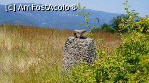 [P30]  -- <small>// FĂRĂ DESCRIERE</small> » foto by pepsi70ro
 - 
<span class="allrVoted glyphicon glyphicon-heart hidden" id="av1490124"></span>
<a class="m-l-10 hidden" id="sv1490124" onclick="voting_Foto_DelVot(,1490124,24288)" role="button">șterge vot <span class="glyphicon glyphicon-remove"></span></a>
<a id="v91490124" class=" c-red"  onclick="voting_Foto_SetVot(1490124)" role="button"><span class="glyphicon glyphicon-heart-empty"></span> <b>LIKE</b> = Votează poza</a> <img class="hidden"  id="f1490124W9" src="/imagini/loader.gif" border="0" /><span class="AjErrMes hidden" id="e1490124ErM"></span>