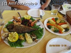 [P05] Taverna Cavalliere-platoul cu pește și fructe de mare » foto by ANILU
 - 
<span class="allrVoted glyphicon glyphicon-heart hidden" id="av1195596"></span>
<a class="m-l-10 hidden" id="sv1195596" onclick="voting_Foto_DelVot(,1195596,24292)" role="button">șterge vot <span class="glyphicon glyphicon-remove"></span></a>
<a id="v91195596" class=" c-red"  onclick="voting_Foto_SetVot(1195596)" role="button"><span class="glyphicon glyphicon-heart-empty"></span> <b>LIKE</b> = Votează poza</a> <img class="hidden"  id="f1195596W9" src="/imagini/loader.gif" border="0" /><span class="AjErrMes hidden" id="e1195596ErM"></span>