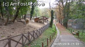 [P31] Grădina zoologică „Ioan Crișan” Reșița.  » foto by ungureanica
 - 
<span class="allrVoted glyphicon glyphicon-heart hidden" id="av1016331"></span>
<a class="m-l-10 hidden" id="sv1016331" onclick="voting_Foto_DelVot(,1016331,24407)" role="button">șterge vot <span class="glyphicon glyphicon-remove"></span></a>
<a id="v91016331" class=" c-red"  onclick="voting_Foto_SetVot(1016331)" role="button"><span class="glyphicon glyphicon-heart-empty"></span> <b>LIKE</b> = Votează poza</a> <img class="hidden"  id="f1016331W9" src="/imagini/loader.gif" border="0" /><span class="AjErrMes hidden" id="e1016331ErM"></span>