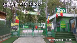 [P04] Grădina zoologică „Ioan Crișan” Reșița. Intrarea » foto by ungureanica
 - 
<span class="allrVoted glyphicon glyphicon-heart hidden" id="av1016304"></span>
<a class="m-l-10 hidden" id="sv1016304" onclick="voting_Foto_DelVot(,1016304,24407)" role="button">șterge vot <span class="glyphicon glyphicon-remove"></span></a>
<a id="v91016304" class=" c-red"  onclick="voting_Foto_SetVot(1016304)" role="button"><span class="glyphicon glyphicon-heart-empty"></span> <b>LIKE</b> = Votează poza</a> <img class="hidden"  id="f1016304W9" src="/imagini/loader.gif" border="0" /><span class="AjErrMes hidden" id="e1016304ErM"></span>