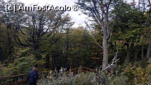 [P14] plimbare în Parcul Tierra del Fuego » foto by elenaadina
 - 
<span class="allrVoted glyphicon glyphicon-heart hidden" id="av1522798"></span>
<a class="m-l-10 hidden" id="sv1522798" onclick="voting_Foto_DelVot(,1522798,24560)" role="button">șterge vot <span class="glyphicon glyphicon-remove"></span></a>
<a id="v91522798" class=" c-red"  onclick="voting_Foto_SetVot(1522798)" role="button"><span class="glyphicon glyphicon-heart-empty"></span> <b>LIKE</b> = Votează poza</a> <img class="hidden"  id="f1522798W9" src="/imagini/loader.gif" border="0" /><span class="AjErrMes hidden" id="e1522798ErM"></span>