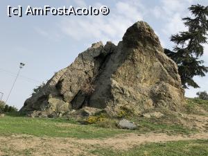 [P15] Stanca plangatoare a lui Niobe » foto by Dan&Ema
 - 
<span class="allrVoted glyphicon glyphicon-heart hidden" id="av1030025"></span>
<a class="m-l-10 hidden" id="sv1030025" onclick="voting_Foto_DelVot(,1030025,24572)" role="button">șterge vot <span class="glyphicon glyphicon-remove"></span></a>
<a id="v91030025" class=" c-red"  onclick="voting_Foto_SetVot(1030025)" role="button"><span class="glyphicon glyphicon-heart-empty"></span> <b>LIKE</b> = Votează poza</a> <img class="hidden"  id="f1030025W9" src="/imagini/loader.gif" border="0" /><span class="AjErrMes hidden" id="e1030025ErM"></span>