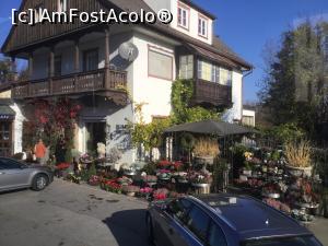 [P01] Am pornit la drum, o zi rece dar senina si spiritul Sarbatorilor de iarna de vede prin decoratiunile cu care esti imbiat » foto by mishu
 - 
<span class="allrVoted glyphicon glyphicon-heart hidden" id="av1032793"></span>
<a class="m-l-10 hidden" id="sv1032793" onclick="voting_Foto_DelVot(,1032793,24602)" role="button">șterge vot <span class="glyphicon glyphicon-remove"></span></a>
<a id="v91032793" class=" c-red"  onclick="voting_Foto_SetVot(1032793)" role="button"><span class="glyphicon glyphicon-heart-empty"></span> <b>LIKE</b> = Votează poza</a> <img class="hidden"  id="f1032793W9" src="/imagini/loader.gif" border="0" /><span class="AjErrMes hidden" id="e1032793ErM"></span>