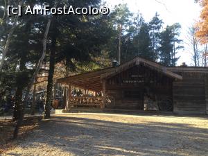 [P35] Pullman City - Prin padure » foto by mishu
 - 
<span class="allrVoted glyphicon glyphicon-heart hidden" id="av1032850"></span>
<a class="m-l-10 hidden" id="sv1032850" onclick="voting_Foto_DelVot(,1032850,24602)" role="button">șterge vot <span class="glyphicon glyphicon-remove"></span></a>
<a id="v91032850" class=" c-red"  onclick="voting_Foto_SetVot(1032850)" role="button"><span class="glyphicon glyphicon-heart-empty"></span> <b>LIKE</b> = Votează poza</a> <img class="hidden"  id="f1032850W9" src="/imagini/loader.gif" border="0" /><span class="AjErrMes hidden" id="e1032850ErM"></span>