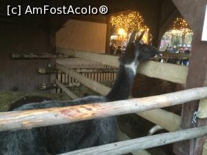 [P55] Pullman City - Hei vecina, tie ti-a dat cineva ceva ca sunt cam curioasa? » foto by mishu
 - 
<span class="allrVoted glyphicon glyphicon-heart hidden" id="av1032876"></span>
<a class="m-l-10 hidden" id="sv1032876" onclick="voting_Foto_DelVot(,1032876,24602)" role="button">șterge vot <span class="glyphicon glyphicon-remove"></span></a>
<a id="v91032876" class=" c-red"  onclick="voting_Foto_SetVot(1032876)" role="button"><span class="glyphicon glyphicon-heart-empty"></span> <b>LIKE</b> = Votează poza</a> <img class="hidden"  id="f1032876W9" src="/imagini/loader.gif" border="0" /><span class="AjErrMes hidden" id="e1032876ErM"></span>