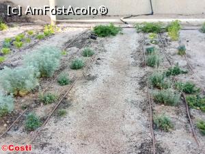 [P07] Aici am plantat plante, la startul turului ghidat » foto by Costi
 - 
<span class="allrVoted glyphicon glyphicon-heart hidden" id="av1147630"></span>
<a class="m-l-10 hidden" id="sv1147630" onclick="voting_Foto_DelVot(,1147630,24635)" role="button">șterge vot <span class="glyphicon glyphicon-remove"></span></a>
<a id="v91147630" class=" c-red"  onclick="voting_Foto_SetVot(1147630)" role="button"><span class="glyphicon glyphicon-heart-empty"></span> <b>LIKE</b> = Votează poza</a> <img class="hidden"  id="f1147630W9" src="/imagini/loader.gif" border="0" /><span class="AjErrMes hidden" id="e1147630ErM"></span>