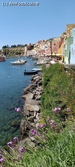 [P36] Ajungem în Marina di Corricella. » foto by tata123 🔱
 - 
<span class="allrVoted glyphicon glyphicon-heart hidden" id="av1527684"></span>
<a class="m-l-10 hidden" id="sv1527684" onclick="voting_Foto_DelVot(,1527684,25378)" role="button">șterge vot <span class="glyphicon glyphicon-remove"></span></a>
<a id="v91527684" class=" c-red"  onclick="voting_Foto_SetVot(1527684)" role="button"><span class="glyphicon glyphicon-heart-empty"></span> <b>LIKE</b> = Votează poza</a> <img class="hidden"  id="f1527684W9" src="/imagini/loader.gif" border="0" /><span class="AjErrMes hidden" id="e1527684ErM"></span>