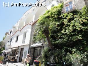 [P52] Positano, strada Pasitea.  » foto by maryka
 - 
<span class="allrVoted glyphicon glyphicon-heart hidden" id="av1087239"></span>
<a class="m-l-10 hidden" id="sv1087239" onclick="voting_Foto_DelVot(,1087239,25401)" role="button">șterge vot <span class="glyphicon glyphicon-remove"></span></a>
<a id="v91087239" class=" c-red"  onclick="voting_Foto_SetVot(1087239)" role="button"><span class="glyphicon glyphicon-heart-empty"></span> <b>LIKE</b> = Votează poza</a> <img class="hidden"  id="f1087239W9" src="/imagini/loader.gif" border="0" /><span class="AjErrMes hidden" id="e1087239ErM"></span>