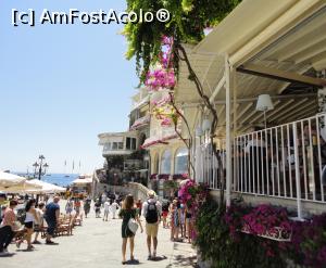 [P53] Positano, drumul spre port.  » foto by maryka
 - 
<span class="allrVoted glyphicon glyphicon-heart hidden" id="av1087240"></span>
<a class="m-l-10 hidden" id="sv1087240" onclick="voting_Foto_DelVot(,1087240,25401)" role="button">șterge vot <span class="glyphicon glyphicon-remove"></span></a>
<a id="v91087240" class=" c-red"  onclick="voting_Foto_SetVot(1087240)" role="button"><span class="glyphicon glyphicon-heart-empty"></span> <b>LIKE</b> = Votează poza</a> <img class="hidden"  id="f1087240W9" src="/imagini/loader.gif" border="0" /><span class="AjErrMes hidden" id="e1087240ErM"></span>