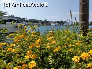 [P02] Ischia Porto, vedere din dreptul meselor de la Emiddio.  » foto by maryka
 - 
<span class="allrVoted glyphicon glyphicon-heart hidden" id="av1098088"></span>
<a class="m-l-10 hidden" id="sv1098088" onclick="voting_Foto_DelVot(,1098088,25565)" role="button">șterge vot <span class="glyphicon glyphicon-remove"></span></a>
<a id="v91098088" class=" c-red"  onclick="voting_Foto_SetVot(1098088)" role="button"><span class="glyphicon glyphicon-heart-empty"></span> <b>LIKE</b> = Votează poza</a> <img class="hidden"  id="f1098088W9" src="/imagini/loader.gif" border="0" /><span class="AjErrMes hidden" id="e1098088ErM"></span>