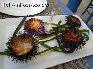 [P55] Castellammare del Golfo: Ristorante La Tonnara, aricii de mare.  » foto by Carmen Ion
 - 
<span class="allrVoted glyphicon glyphicon-heart hidden" id="av1109365"></span>
<a class="m-l-10 hidden" id="sv1109365" onclick="voting_Foto_DelVot(,1109365,25718)" role="button">șterge vot <span class="glyphicon glyphicon-remove"></span></a>
<a id="v91109365" class=" c-red"  onclick="voting_Foto_SetVot(1109365)" role="button"><span class="glyphicon glyphicon-heart-empty"></span> <b>LIKE</b> = Votează poza</a> <img class="hidden"  id="f1109365W9" src="/imagini/loader.gif" border="0" /><span class="AjErrMes hidden" id="e1109365ErM"></span>