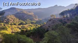 [P20]  -- <small>// FĂRĂ DESCRIERE</small> » foto by Maya_C
 - 
<span class="allrVoted glyphicon glyphicon-heart hidden" id="av1505983"></span>
<a class="m-l-10 hidden" id="sv1505983" onclick="voting_Foto_DelVot(,1505983,25725)" role="button">șterge vot <span class="glyphicon glyphicon-remove"></span></a>
<a id="v91505983" class=" c-red"  onclick="voting_Foto_SetVot(1505983)" role="button"><span class="glyphicon glyphicon-heart-empty"></span> <b>LIKE</b> = Votează poza</a> <img class="hidden"  id="f1505983W9" src="/imagini/loader.gif" border="0" /><span class="AjErrMes hidden" id="e1505983ErM"></span>