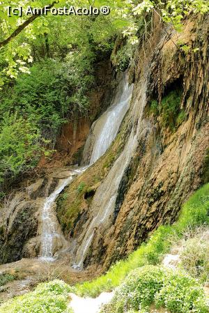 [P15] Geoagiu-Bai, Cascada Clocota, mai 2017 » foto by Dana2008
 - 
<span class="allrVoted glyphicon glyphicon-heart hidden" id="av864895"></span>
<a class="m-l-10 hidden" id="sv864895" onclick="voting_Foto_DelVot(,864895,25800)" role="button">șterge vot <span class="glyphicon glyphicon-remove"></span></a>
<a id="v9864895" class=" c-red"  onclick="voting_Foto_SetVot(864895)" role="button"><span class="glyphicon glyphicon-heart-empty"></span> <b>LIKE</b> = Votează poza</a> <img class="hidden"  id="f864895W9" src="/imagini/loader.gif" border="0" /><span class="AjErrMes hidden" id="e864895ErM"></span>