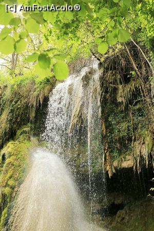 [P27] Geoagiu-Bai, Cascada Clocota, mai 2017 » foto by Dana2008
 - 
<span class="allrVoted glyphicon glyphicon-heart hidden" id="av864907"></span>
<a class="m-l-10 hidden" id="sv864907" onclick="voting_Foto_DelVot(,864907,25800)" role="button">șterge vot <span class="glyphicon glyphicon-remove"></span></a>
<a id="v9864907" class=" c-red"  onclick="voting_Foto_SetVot(864907)" role="button"><span class="glyphicon glyphicon-heart-empty"></span> <b>LIKE</b> = Votează poza</a> <img class="hidden"  id="f864907W9" src="/imagini/loader.gif" border="0" /><span class="AjErrMes hidden" id="e864907ErM"></span>