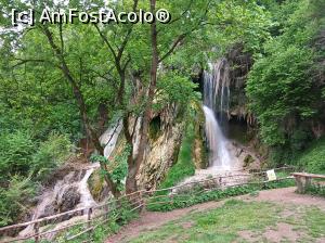 [P07] Geoagiu-Bai, Cascada Clocota, mai 2017 » foto by Dana2008
 - 
<span class="allrVoted glyphicon glyphicon-heart hidden" id="av864872"></span>
<a class="m-l-10 hidden" id="sv864872" onclick="voting_Foto_DelVot(,864872,25800)" role="button">șterge vot <span class="glyphicon glyphicon-remove"></span></a>
<a id="v9864872" class=" c-red"  onclick="voting_Foto_SetVot(864872)" role="button"><span class="glyphicon glyphicon-heart-empty"></span> <b>LIKE</b> = Votează poza</a> <img class="hidden"  id="f864872W9" src="/imagini/loader.gif" border="0" /><span class="AjErrMes hidden" id="e864872ErM"></span>