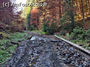 [P11] Vârful Zespezel 1278 m din M-ții Gurghiului-urcarea prin Valea Pârâului Schwartz » foto by Dana2008
 - 
<span class="allrVoted glyphicon glyphicon-heart hidden" id="av1120293"></span>
<a class="m-l-10 hidden" id="sv1120293" onclick="voting_Foto_DelVot(,1120293,25855)" role="button">șterge vot <span class="glyphicon glyphicon-remove"></span></a>
<a id="v91120293" class=" c-red"  onclick="voting_Foto_SetVot(1120293)" role="button"><span class="glyphicon glyphicon-heart-empty"></span> <b>LIKE</b> = Votează poza</a> <img class="hidden"  id="f1120293W9" src="/imagini/loader.gif" border="0" /><span class="AjErrMes hidden" id="e1120293ErM"></span>