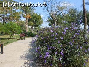 [P26] Orașul Antalya - În parc, la țărmul Mediteranei.  » foto by iulianic
 - 
<span class="allrVoted glyphicon glyphicon-heart hidden" id="av1124938"></span>
<a class="m-l-10 hidden" id="sv1124938" onclick="voting_Foto_DelVot(,1124938,25898)" role="button">șterge vot <span class="glyphicon glyphicon-remove"></span></a>
<a id="v91124938" class=" c-red"  onclick="voting_Foto_SetVot(1124938)" role="button"><span class="glyphicon glyphicon-heart-empty"></span> <b>LIKE</b> = Votează poza</a> <img class="hidden"  id="f1124938W9" src="/imagini/loader.gif" border="0" /><span class="AjErrMes hidden" id="e1124938ErM"></span>