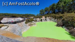 [P60] Lacul verde-gălbui de la Wai-o-Tapu » foto by C@t@
 - 
<span class="allrVoted glyphicon glyphicon-heart hidden" id="av1133497"></span>
<a class="m-l-10 hidden" id="sv1133497" onclick="voting_Foto_DelVot(,1133497,25994)" role="button">șterge vot <span class="glyphicon glyphicon-remove"></span></a>
<a id="v91133497" class=" c-red"  onclick="voting_Foto_SetVot(1133497)" role="button"><span class="glyphicon glyphicon-heart-empty"></span> <b>LIKE</b> = Votează poza</a> <img class="hidden"  id="f1133497W9" src="/imagini/loader.gif" border="0" /><span class="AjErrMes hidden" id="e1133497ErM"></span>