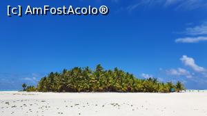 P08 [OCT-2019] Pâlc de palmieri pe nisip alb pe Honeymoon island