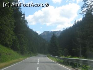 [P01] Intr-un week-end de iulie, o pornim dis de dimineata spre Muntii Neamtului, urmand sa vizitam Lacul Rosu, Cheile Bicazului, Bucovina si Maramuresul » foto by dorgo
 - 
<span class="allrVoted glyphicon glyphicon-heart hidden" id="av1137813"></span>
<a class="m-l-10 hidden" id="sv1137813" onclick="voting_Foto_DelVot(,1137813,26045)" role="button">șterge vot <span class="glyphicon glyphicon-remove"></span></a>
<a id="v91137813" class=" c-red"  onclick="voting_Foto_SetVot(1137813)" role="button"><span class="glyphicon glyphicon-heart-empty"></span> <b>LIKE</b> = Votează poza</a> <img class="hidden"  id="f1137813W9" src="/imagini/loader.gif" border="0" /><span class="AjErrMes hidden" id="e1137813ErM"></span>