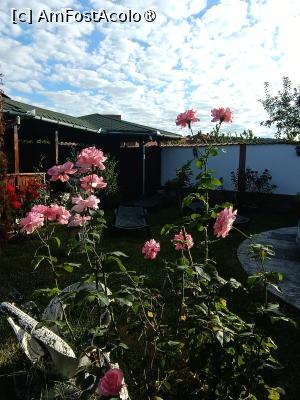 [P16] Imagine din curtea interioară, pe fundal pavilionul grătarului » foto by laurand
 - 
<span class="allrVoted glyphicon glyphicon-heart hidden" id="av1506442"></span>
<a class="m-l-10 hidden" id="sv1506442" onclick="voting_Foto_DelVot(,1506442,26068)" role="button">șterge vot <span class="glyphicon glyphicon-remove"></span></a>
<a id="v91506442" class=" c-red"  onclick="voting_Foto_SetVot(1506442)" role="button"><span class="glyphicon glyphicon-heart-empty"></span> <b>LIKE</b> = Votează poza</a> <img class="hidden"  id="f1506442W9" src="/imagini/loader.gif" border="0" /><span class="AjErrMes hidden" id="e1506442ErM"></span>
