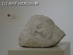 [P11] Constantin Brâncuși - Somnul.  » foto by tata123 🔱
 - 
<span class="allrVoted glyphicon glyphicon-heart hidden" id="av1146731"></span>
<a class="m-l-10 hidden" id="sv1146731" onclick="voting_Foto_DelVot(,1146731,26145)" role="button">șterge vot <span class="glyphicon glyphicon-remove"></span></a>
<a id="v91146731" class=" c-red"  onclick="voting_Foto_SetVot(1146731)" role="button"><span class="glyphicon glyphicon-heart-empty"></span> <b>LIKE</b> = Votează poza</a> <img class="hidden"  id="f1146731W9" src="/imagini/loader.gif" border="0" /><span class="AjErrMes hidden" id="e1146731ErM"></span>