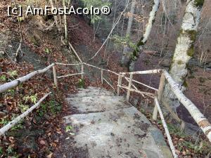 P06 [DEC-2022] Cascada Pruncea de pe Râul Cașoca – scările pe care le-am coborât pentru a ajunge la cascadă