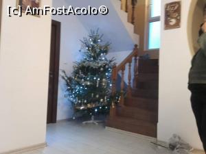 [P05] am avut si bradut :)  » foto by raluca1831
 - 
<span class="allrVoted glyphicon glyphicon-heart hidden" id="av1147052"></span>
<a class="m-l-10 hidden" id="sv1147052" onclick="voting_Foto_DelVot(,1147052,26165)" role="button">șterge vot <span class="glyphicon glyphicon-remove"></span></a>
<a id="v91147052" class=" c-red"  onclick="voting_Foto_SetVot(1147052)" role="button"><span class="glyphicon glyphicon-heart-empty"></span> <b>LIKE</b> = Votează poza</a> <img class="hidden"  id="f1147052W9" src="/imagini/loader.gif" border="0" /><span class="AjErrMes hidden" id="e1147052ErM"></span>