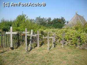 [P23] In apropierea bisericii este cimitir. » foto by Floryn81
 - 
<span class="allrVoted glyphicon glyphicon-heart hidden" id="av715855"></span>
<a class="m-l-10 hidden" id="sv715855" onclick="voting_Foto_DelVot(,715855,26230)" role="button">șterge vot <span class="glyphicon glyphicon-remove"></span></a>
<a id="v9715855" class=" c-red"  onclick="voting_Foto_SetVot(715855)" role="button"><span class="glyphicon glyphicon-heart-empty"></span> <b>LIKE</b> = Votează poza</a> <img class="hidden"  id="f715855W9" src="/imagini/loader.gif" border="0" /><span class="AjErrMes hidden" id="e715855ErM"></span>