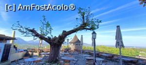 [P06] Terasa-restaurant Panorama încă nu se deschisese la acea oră a dimineții. » foto by tata123 🔱
 - 
<span class="allrVoted glyphicon glyphicon-heart hidden" id="av1456456"></span>
<a class="m-l-10 hidden" id="sv1456456" onclick="voting_Foto_DelVot(,1456456,26232)" role="button">șterge vot <span class="glyphicon glyphicon-remove"></span></a>
<a id="v91456456" class=" c-red"  onclick="voting_Foto_SetVot(1456456)" role="button"><span class="glyphicon glyphicon-heart-empty"></span> <b>LIKE</b> = Votează poza</a> <img class="hidden"  id="f1456456W9" src="/imagini/loader.gif" border="0" /><span class="AjErrMes hidden" id="e1456456ErM"></span>