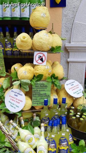 [P13] Lămâi uriașe numai bune pentru limoncello » foto by BOGDAN DSN
 - 
<span class="allrVoted glyphicon glyphicon-heart hidden" id="av1157252"></span>
<a class="m-l-10 hidden" id="sv1157252" onclick="voting_Foto_DelVot(,1157252,26248)" role="button">șterge vot <span class="glyphicon glyphicon-remove"></span></a>
<a id="v91157252" class=" c-red"  onclick="voting_Foto_SetVot(1157252)" role="button"><span class="glyphicon glyphicon-heart-empty"></span> <b>LIKE</b> = Votează poza</a> <img class="hidden"  id="f1157252W9" src="/imagini/loader.gif" border="0" /><span class="AjErrMes hidden" id="e1157252ErM"></span>