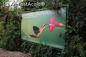 [P01] Puerto de Iguazu, Jardín de los Picaflores (Grădina Păsărilor Colibri) » foto by mprofeanu
 - 
<span class="allrVoted glyphicon glyphicon-heart hidden" id="av1156788"></span>
<a class="m-l-10 hidden" id="sv1156788" onclick="voting_Foto_DelVot(,1156788,26268)" role="button">șterge vot <span class="glyphicon glyphicon-remove"></span></a>
<a id="v91156788" class=" c-red"  onclick="voting_Foto_SetVot(1156788)" role="button"><span class="glyphicon glyphicon-heart-empty"></span> <b>LIKE</b> = Votează poza</a> <img class="hidden"  id="f1156788W9" src="/imagini/loader.gif" border="0" /><span class="AjErrMes hidden" id="e1156788ErM"></span>