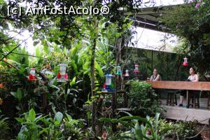 [P02] Puerto de Iguazu, Grădina Păsărilor Colibri, În așteptarea gingașelor minuni ale naturii, loc special amenajat pentru privit păsările... » foto by mprofeanu
 - 
<span class="allrVoted glyphicon glyphicon-heart hidden" id="av1156789"></span>
<a class="m-l-10 hidden" id="sv1156789" onclick="voting_Foto_DelVot(,1156789,26268)" role="button">șterge vot <span class="glyphicon glyphicon-remove"></span></a>
<a id="v91156789" class=" c-red"  onclick="voting_Foto_SetVot(1156789)" role="button"><span class="glyphicon glyphicon-heart-empty"></span> <b>LIKE</b> = Votează poza</a> <img class="hidden"  id="f1156789W9" src="/imagini/loader.gif" border="0" /><span class="AjErrMes hidden" id="e1156789ErM"></span>