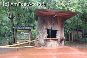 [P24] Puerto Iguazu, Prin Complexul Turistic Aripuca, mergem pe partea dreaptă a lui, harta și un imens trunchi de copac » foto by mprofeanu
 - 
<span class="allrVoted glyphicon glyphicon-heart hidden" id="av1156811"></span>
<a class="m-l-10 hidden" id="sv1156811" onclick="voting_Foto_DelVot(,1156811,26268)" role="button">șterge vot <span class="glyphicon glyphicon-remove"></span></a>
<a id="v91156811" class=" c-red"  onclick="voting_Foto_SetVot(1156811)" role="button"><span class="glyphicon glyphicon-heart-empty"></span> <b>LIKE</b> = Votează poza</a> <img class="hidden"  id="f1156811W9" src="/imagini/loader.gif" border="0" /><span class="AjErrMes hidden" id="e1156811ErM"></span>