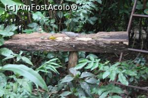 [P04] Puerto de Iguazu, Grădina Păsărilor Colibri, “hrănitoarele” pentru alte păsări » foto by mprofeanu
 - 
<span class="allrVoted glyphicon glyphicon-heart hidden" id="av1156791"></span>
<a class="m-l-10 hidden" id="sv1156791" onclick="voting_Foto_DelVot(,1156791,26268)" role="button">șterge vot <span class="glyphicon glyphicon-remove"></span></a>
<a id="v91156791" class=" c-red"  onclick="voting_Foto_SetVot(1156791)" role="button"><span class="glyphicon glyphicon-heart-empty"></span> <b>LIKE</b> = Votează poza</a> <img class="hidden"  id="f1156791W9" src="/imagini/loader.gif" border="0" /><span class="AjErrMes hidden" id="e1156791ErM"></span>