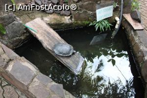 [P07] Puerto de Iguazu, Grădina Păsărilor Colibri, “hrănitoarele” pentru țestoase » foto by mprofeanu
 - 
<span class="allrVoted glyphicon glyphicon-heart hidden" id="av1156794"></span>
<a class="m-l-10 hidden" id="sv1156794" onclick="voting_Foto_DelVot(,1156794,26268)" role="button">șterge vot <span class="glyphicon glyphicon-remove"></span></a>
<a id="v91156794" class=" c-red"  onclick="voting_Foto_SetVot(1156794)" role="button"><span class="glyphicon glyphicon-heart-empty"></span> <b>LIKE</b> = Votează poza</a> <img class="hidden"  id="f1156794W9" src="/imagini/loader.gif" border="0" /><span class="AjErrMes hidden" id="e1156794ErM"></span>