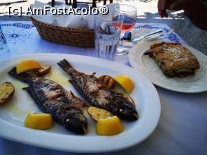 [P14] Taverna Muses; pește la aburi și delicioasa musaca » foto by crismis
 - 
<span class="allrVoted glyphicon glyphicon-heart hidden" id="av1178168"></span>
<a class="m-l-10 hidden" id="sv1178168" onclick="voting_Foto_DelVot(,1178168,26384)" role="button">șterge vot <span class="glyphicon glyphicon-remove"></span></a>
<a id="v91178168" class=" c-red"  onclick="voting_Foto_SetVot(1178168)" role="button"><span class="glyphicon glyphicon-heart-empty"></span> <b>LIKE</b> = Votează poza</a> <img class="hidden"  id="f1178168W9" src="/imagini/loader.gif" border="0" /><span class="AjErrMes hidden" id="e1178168ErM"></span>