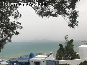 [P18] Sidi Bou Saïd – frumosul orăşel alb – albastru din Tunisia - vedere panoramică asupra mării » foto by nicole33
 - 
<span class="allrVoted glyphicon glyphicon-heart hidden" id="av1173896"></span>
<a class="m-l-10 hidden" id="sv1173896" onclick="voting_Foto_DelVot(,1173896,26417)" role="button">șterge vot <span class="glyphicon glyphicon-remove"></span></a>
<a id="v91173896" class=" c-red"  onclick="voting_Foto_SetVot(1173896)" role="button"><span class="glyphicon glyphicon-heart-empty"></span> <b>LIKE</b> = Votează poza</a> <img class="hidden"  id="f1173896W9" src="/imagini/loader.gif" border="0" /><span class="AjErrMes hidden" id="e1173896ErM"></span>