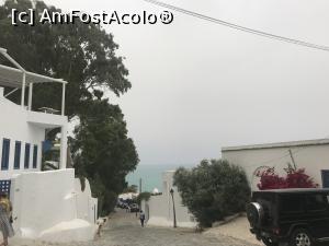 P25 [JUN-2019] Sidi Bou Saïd – frumosul orăşel alb – albastru din Tunisia - flori şi marea