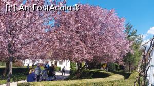 [P26]  -- <small>// FĂRĂ DESCRIERE</small> » foto by hd88gsg
 - 
<span class="allrVoted glyphicon glyphicon-heart hidden" id="av1523804"></span>
<a class="m-l-10 hidden" id="sv1523804" onclick="voting_Foto_DelVot(,1523804,26461)" role="button">șterge vot <span class="glyphicon glyphicon-remove"></span></a>
<a id="v91523804" class=" c-red"  onclick="voting_Foto_SetVot(1523804)" role="button"><span class="glyphicon glyphicon-heart-empty"></span> <b>LIKE</b> = Votează poza</a> <img class="hidden"  id="f1523804W9" src="/imagini/loader.gif" border="0" /><span class="AjErrMes hidden" id="e1523804ErM"></span>