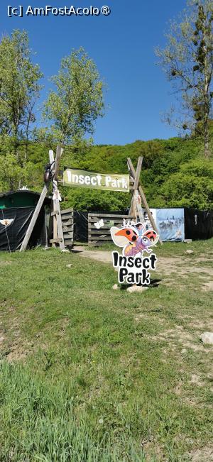 [P32] Insect Park - intrarea » foto by ⭐ValentinB_88⭐
 - 
<span class="allrVoted glyphicon glyphicon-heart hidden" id="av1431028"></span>
<a class="m-l-10 hidden" id="sv1431028" onclick="voting_Foto_DelVot(,1431028,26478)" role="button">șterge vot <span class="glyphicon glyphicon-remove"></span></a>
<a id="v91431028" class=" c-red"  onclick="voting_Foto_SetVot(1431028)" role="button"><span class="glyphicon glyphicon-heart-empty"></span> <b>LIKE</b> = Votează poza</a> <img class="hidden"  id="f1431028W9" src="/imagini/loader.gif" border="0" /><span class="AjErrMes hidden" id="e1431028ErM"></span>