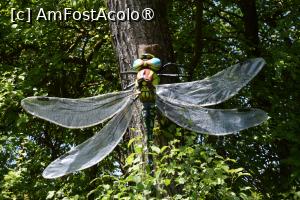 [P12]  -- <small>// FĂRĂ DESCRIERE</small> » foto by pepsi70ro
 - 
<span class="allrVoted glyphicon glyphicon-heart hidden" id="av1499578"></span>
<a class="m-l-10 hidden" id="sv1499578" onclick="voting_Foto_DelVot(,1499578,26478)" role="button">șterge vot <span class="glyphicon glyphicon-remove"></span></a>
<a id="v91499578" class=" c-red"  onclick="voting_Foto_SetVot(1499578)" role="button"><span class="glyphicon glyphicon-heart-empty"></span> <b>LIKE</b> = Votează poza</a> <img class="hidden"  id="f1499578W9" src="/imagini/loader.gif" border="0" /><span class="AjErrMes hidden" id="e1499578ErM"></span>