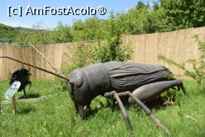 [P13]  -- <small>// FĂRĂ DESCRIERE</small> » foto by pepsi70ro
 - 
<span class="allrVoted glyphicon glyphicon-heart hidden" id="av1499579"></span>
<a class="m-l-10 hidden" id="sv1499579" onclick="voting_Foto_DelVot(,1499579,26478)" role="button">șterge vot <span class="glyphicon glyphicon-remove"></span></a>
<a id="v91499579" class=" c-red"  onclick="voting_Foto_SetVot(1499579)" role="button"><span class="glyphicon glyphicon-heart-empty"></span> <b>LIKE</b> = Votează poza</a> <img class="hidden"  id="f1499579W9" src="/imagini/loader.gif" border="0" /><span class="AjErrMes hidden" id="e1499579ErM"></span>