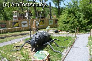 [P09]  -- <small>// FĂRĂ DESCRIERE</small> » foto by pepsi70ro
 - 
<span class="allrVoted glyphicon glyphicon-heart hidden" id="av1499575"></span>
<a class="m-l-10 hidden" id="sv1499575" onclick="voting_Foto_DelVot(,1499575,26478)" role="button">șterge vot <span class="glyphicon glyphicon-remove"></span></a>
<a id="v91499575" class=" c-red"  onclick="voting_Foto_SetVot(1499575)" role="button"><span class="glyphicon glyphicon-heart-empty"></span> <b>LIKE</b> = Votează poza</a> <img class="hidden"  id="f1499575W9" src="/imagini/loader.gif" border="0" /><span class="AjErrMes hidden" id="e1499575ErM"></span>