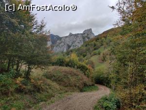 [P15] Punct Gastronomic Local Scărița - Belioara, lângă Rezervația Scărița-Belioara, jud. Alba, drumul dinspre restaurant » foto by Dana2008
 - 
<span class="allrVoted glyphicon glyphicon-heart hidden" id="av1196243"></span>
<a class="m-l-10 hidden" id="sv1196243" onclick="voting_Foto_DelVot(,1196243,26614)" role="button">șterge vot <span class="glyphicon glyphicon-remove"></span></a>
<a id="v91196243" class=" c-red"  onclick="voting_Foto_SetVot(1196243)" role="button"><span class="glyphicon glyphicon-heart-empty"></span> <b>LIKE</b> = Votează poza</a> <img class="hidden"  id="f1196243W9" src="/imagini/loader.gif" border="0" /><span class="AjErrMes hidden" id="e1196243ErM"></span>