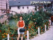 [P04] colorit superb in curtea manastirii » foto by adri-nico
 - 
<span class="allrVoted glyphicon glyphicon-heart hidden" id="av285555"></span>
<a class="m-l-10 hidden" id="sv285555" onclick="voting_Foto_DelVot(,285555,26627)" role="button">șterge vot <span class="glyphicon glyphicon-remove"></span></a>
<a id="v9285555" class=" c-red"  onclick="voting_Foto_SetVot(285555)" role="button"><span class="glyphicon glyphicon-heart-empty"></span> <b>LIKE</b> = Votează poza</a> <img class="hidden"  id="f285555W9" src="/imagini/loader.gif" border="0" /><span class="AjErrMes hidden" id="e285555ErM"></span>