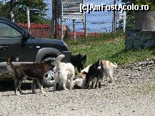 [P10]  -- <small>// FĂRĂ DESCRIERE</small> » foto by sigcristina
 - 
<span class="allrVoted glyphicon glyphicon-heart hidden" id="av295899"></span>
<a class="m-l-10 hidden" id="sv295899" onclick="voting_Foto_DelVot(,295899,26627)" role="button">șterge vot <span class="glyphicon glyphicon-remove"></span></a>
<a id="v9295899" class=" c-red"  onclick="voting_Foto_SetVot(295899)" role="button"><span class="glyphicon glyphicon-heart-empty"></span> <b>LIKE</b> = Votează poza</a> <img class="hidden"  id="f295899W9" src="/imagini/loader.gif" border="0" /><span class="AjErrMes hidden" id="e295899ErM"></span>