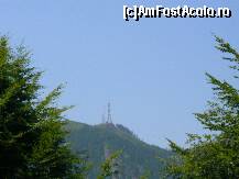 [P12]  -- <small>// FĂRĂ DESCRIERE</small> » foto by sigcristina
 - 
<span class="allrVoted glyphicon glyphicon-heart hidden" id="av295901"></span>
<a class="m-l-10 hidden" id="sv295901" onclick="voting_Foto_DelVot(,295901,26627)" role="button">șterge vot <span class="glyphicon glyphicon-remove"></span></a>
<a id="v9295901" class=" c-red"  onclick="voting_Foto_SetVot(295901)" role="button"><span class="glyphicon glyphicon-heart-empty"></span> <b>LIKE</b> = Votează poza</a> <img class="hidden"  id="f295901W9" src="/imagini/loader.gif" border="0" /><span class="AjErrMes hidden" id="e295901ErM"></span>